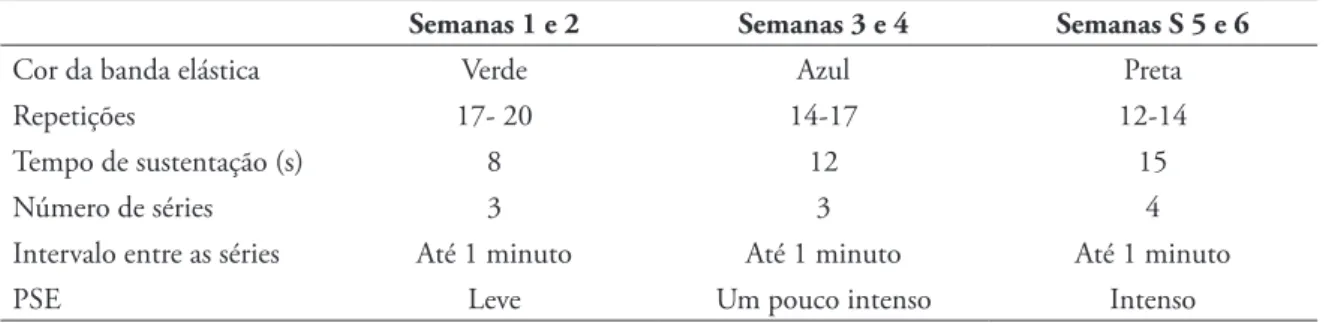 TABELA 2 - Protocolo de treinamento utilizado no presente estudo