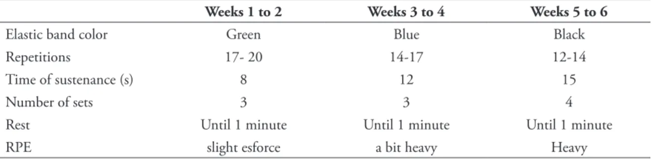 TABLE 2 - Protocol of training used in the present study.