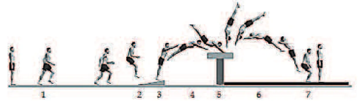 FIGURE 2 - Vault seven phases 24 .1: run;2: jump on springboard;3:  springboard  support phase; 4: ﬁ rst ﬂ ight phase;5: support; 