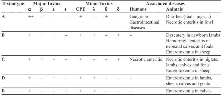 TABLE I – Diversity of Clostridium perfringens toxinotypes and associated diseases (Petit, Gibert, Popoff, 1999)