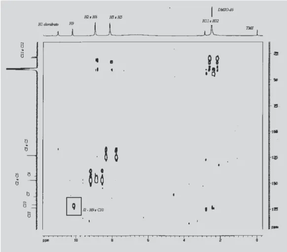 FIGURA 6 - Two possible derivatives obtained from succinyl isoniazid cyclisation.