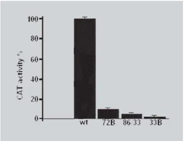 FIGURE 4 - Transactivation of the region of apoB promoter. CAT assays were analyzed as described in materials and methods