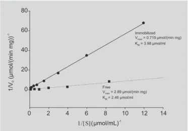 FIGURE 8 – Lineweaver-Burk plots for free (  ) and immobilized ( z ) trypsin. Reactions were carried out in phosphate buffer pH 7.0 at 37 ºC.