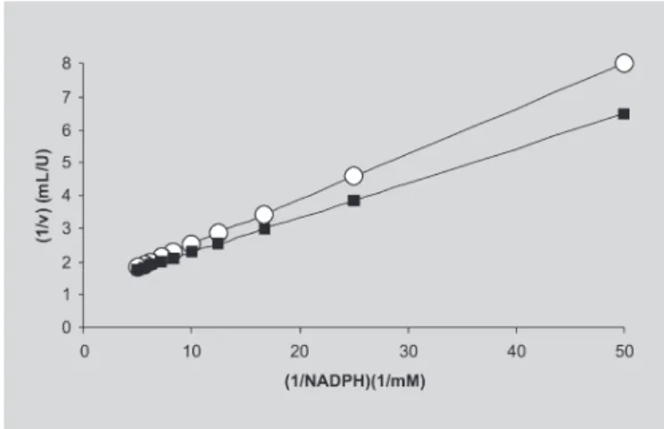 FIGURE 4 - Lineweaver-Burk’s plot for the variation of xylose reductase activity present both in CH ( c ) and APII (  ) against the NADPH concentration
