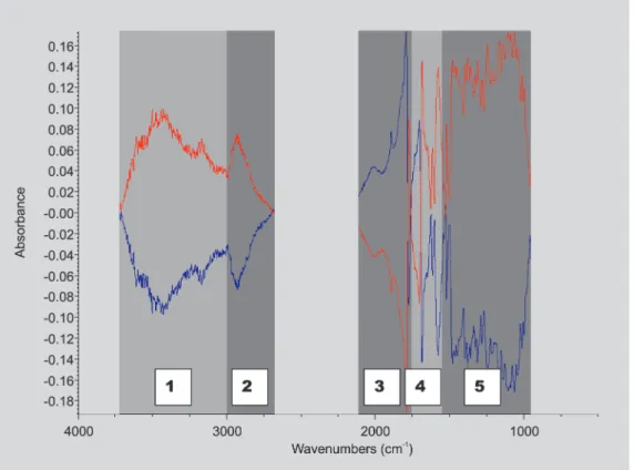 FIGURE 2 - Subtraction between the spectra of samples with high and low concentrations of amoxicillin in selected subregions.