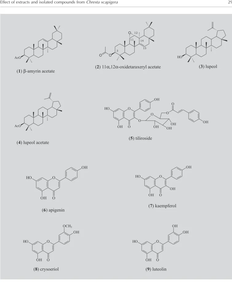FIGURE 1 - Structures of isolated compounds from C. scapigera.