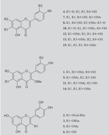 FIGURE 1 - Flavonoids from C. hirsuta and C. squalida used as reference compounds in the HPLC analysis.