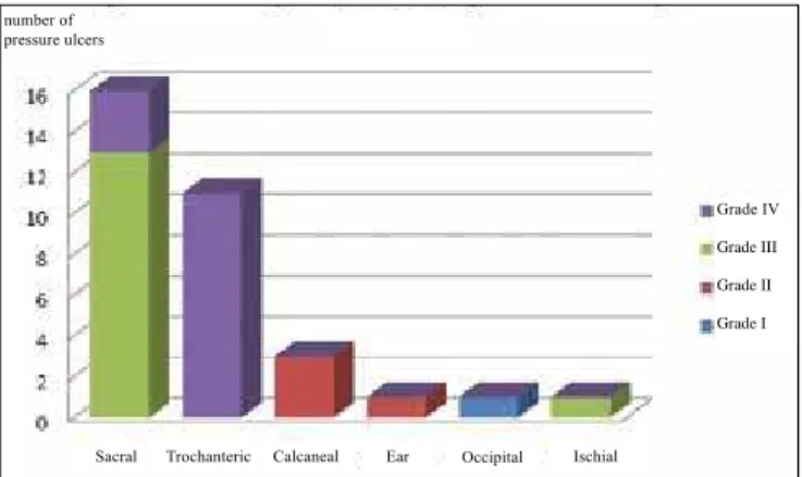 Figure 1 – Graphic representation of the regions affected by  pressure ulcers.