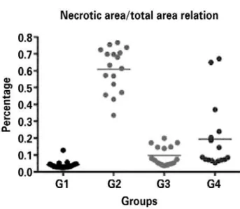 Figure 5 – Relationships between the necrotic area   and the total lap area in the 4 groups.