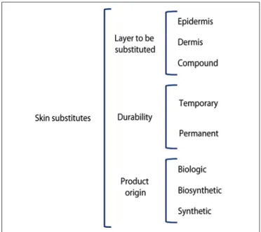 Figure 1 – Classiication of skin substitutes proposed by the   Plastic Surgery Service of Hospital das Clínicas of the  