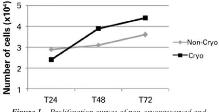 Figure 1 – Proliferation curves of non-cryopreserved and  cryopreserved cells at the time points assessed