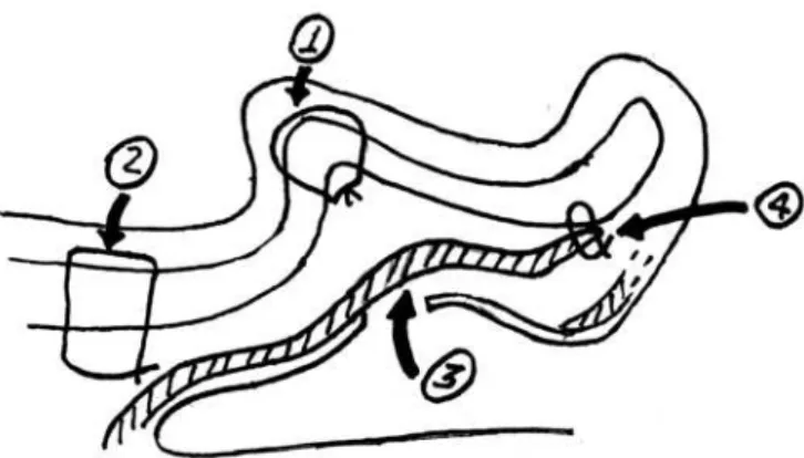 Figure 12 – Summary of the technique used in the lap group. 