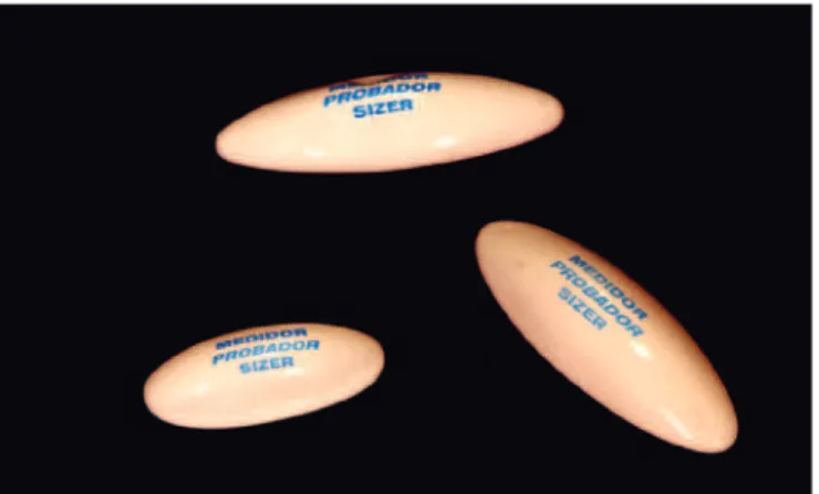 Figure 1 – Implant templates.