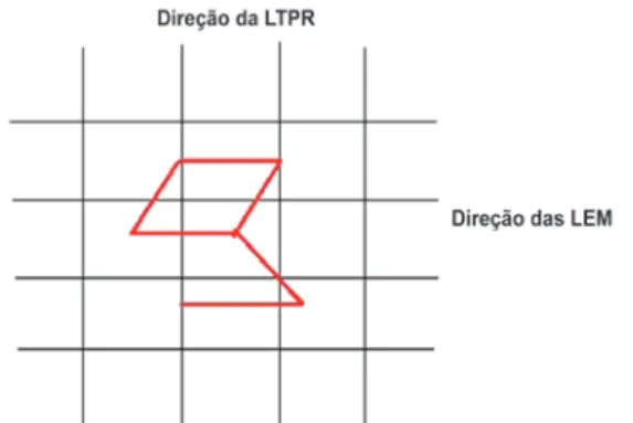 Figura 1 – Desenho do retalho rômbico em relação à LEM   e à LTPR. LEM = linhas de extensibilidade máxima;  