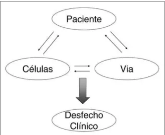Figura 1 - Interação entre paciente, via de administração e qua- qua-lidade do produto celular na determinação do desfecho clínico.