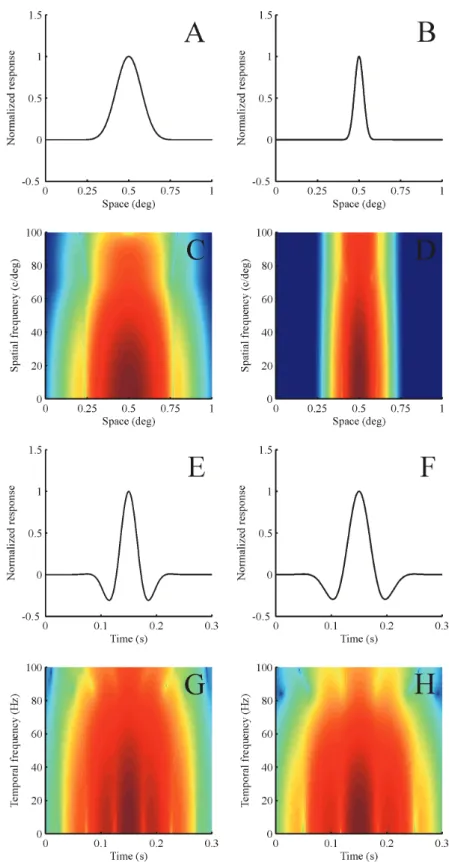 Figure  1.  Visual  response  in  the  space,  spatial  frequency,  time,  and  temporal  frequency  domains  for  an  M  cell  located  at  4 o   (left  column) and a P cell located at 5 o  from the fovea centralis (right column)