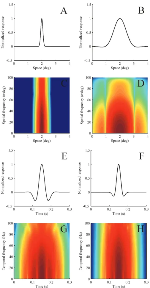 Figure  2. Visual  response  in  the  space,  spatial  frequency,  time,  and  temporal  frequency  domains  for  an  M  cell  located  at  4 o   (left  column) and another M cell located at 38 o  from the fovea centralis (right column) to illustrate the e