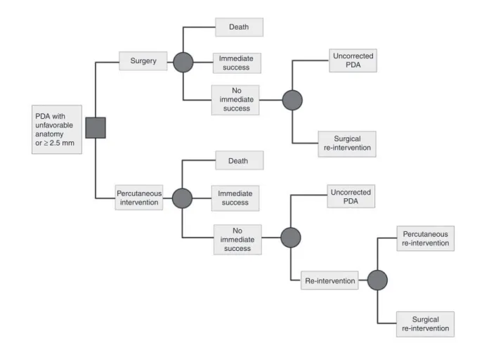 Figure 1 – Schematic representation of the decision-making model for correction of patent ductus arteriosus (PDA).