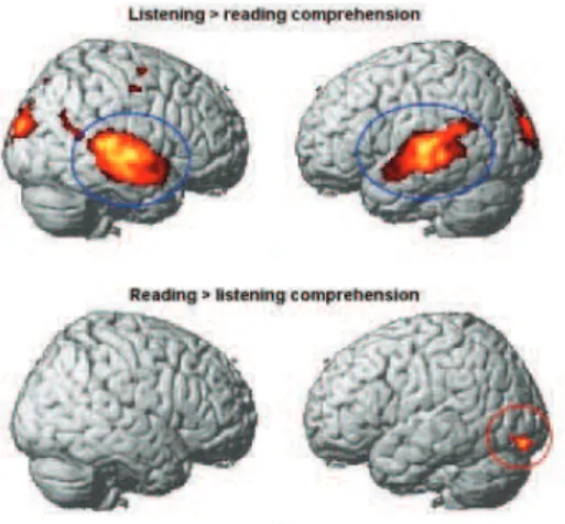 Table 3.  Contrasts between listening and reading comprehension.