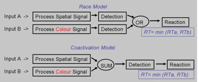 Figure 2. Schematic representation of the different parallel processing models: race and coactivation.