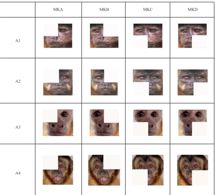 Figure 2. Stimulus set A with Partial Mask (General Procedure).