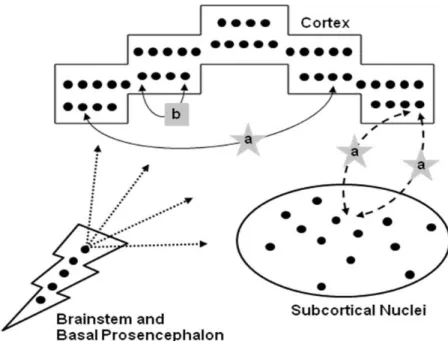 Figure 3 . Structure-function correlation model for white matter multifocal/disseminated lesions