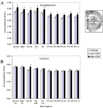 Figure 2. Brain levels of pre-synaptic proteins after chronic  haloperidol.    Values  are  means  ±  SEM  in  relative  optical  density (ROD) units