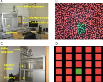 Figure  1.  Experimental  chamber  and  stimuli  presented  in  Experiments 1 and 2 (A and B, respectively) and experimental  chamber  and  stimuli  presented  in  Experiment  3  (C  and  D,  respectively)