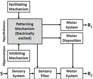 Figure 5. A model of the fear system to account for the data  of Figures 3 and 4 and a large number of other experiments