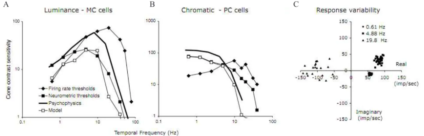 Figure  1.  A:  Comparison  of  psychophysical  temporal  contrast  sensitivity  to  luminance  modulation  with  cellular  temporal  contrast sensitivity to luminance modulation based on MC cells’ responses