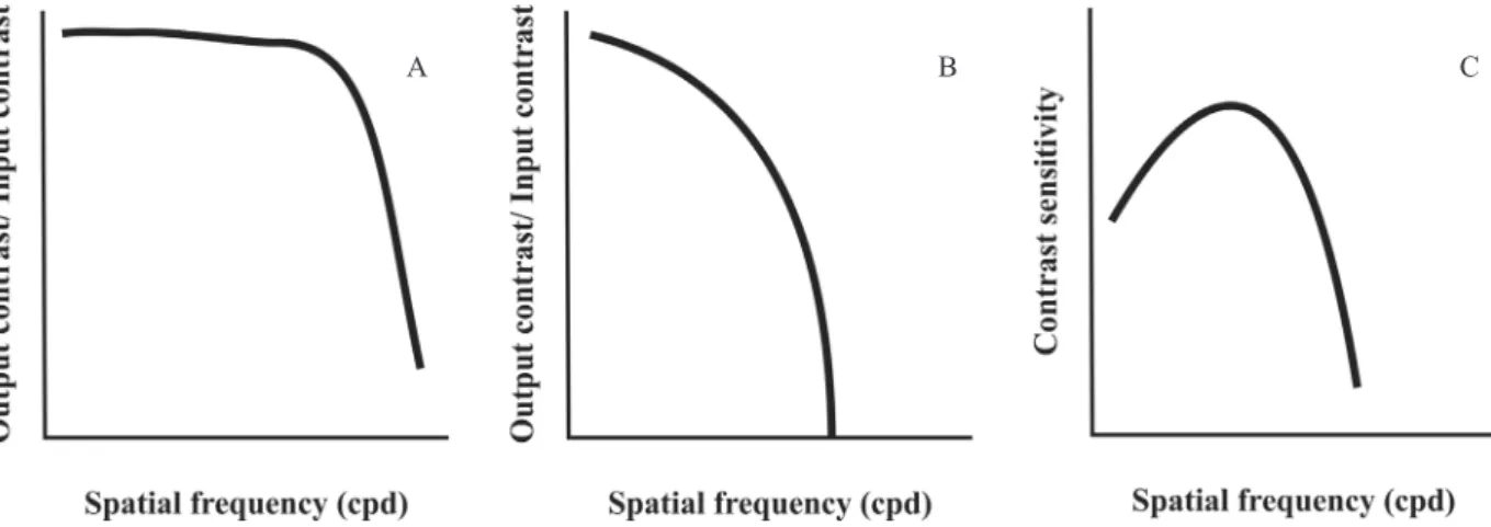 Figure 1 shows the several stages of contrast transfer  from object generation on a display, such as a cathode  ray tube (CRT) display (Figure 1A), modulation transfer  through  the  eye  optical  elements  (Figure  1B),  and  the  end result of contrast t