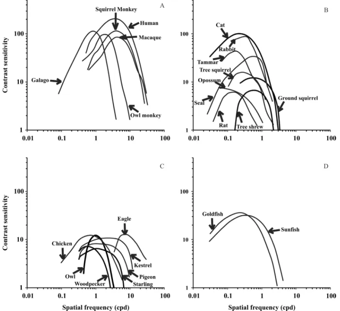 Figure 2. Comparison between contrast sensitivity functions (CSFs) obtained from several vertebrates using various behavioral  and electrophysiological methods