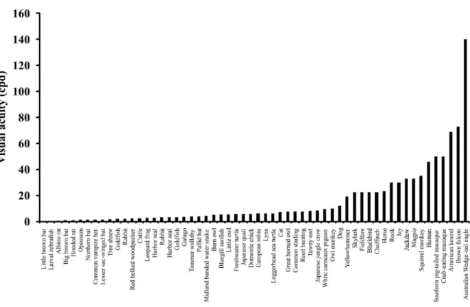 Figure 2 shows the CSFs of several species. We can  observe  the  similar  shapes  and  different  positions  of  the  contrast  sensitivity  and  spatial  frequency  coordinates