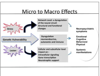 Figure  2.  Micro  and  macro  stress  in  individuals  with  genetic  vulnerability  and  its  relationship  to  neuropsychiatric  symptoms