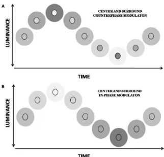 Figure 2. Schematic diagram showing one modulation cycle  of the center and surround stimuli for counterphase (A) and  in-phase (B) modulation.