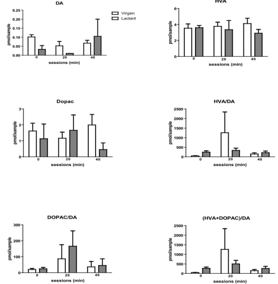 Figure  2  shows  in  vivo  dopamine  and  dopamine  metabolite concentrations obtained by microdialysis in  virgin and lactating rats