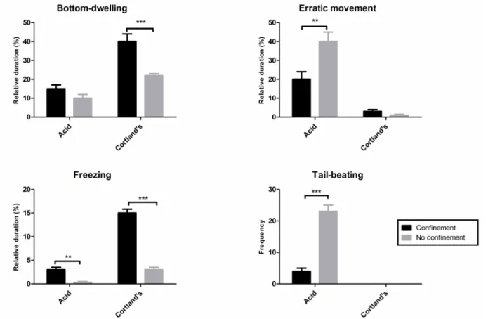 Figure  2.  Effects  of  coninement  stress  (black  bars)  and  no  coninement  (gray  bars)  on  (A)  bottom-dwelling,  (B)  erratic  swimming, (C) freezing, and (D) tail-beating in acetic acid- or Cortland solution-injected zebraish