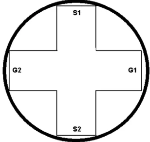 Figure  1.  A  schematic  representation  of  the  apparatus.  S  =  start locations; G = escape locations.