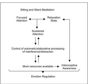 Figure 1. Diagram representing the hypothesized effect of meditation  on emotion regulation based on the presented results.