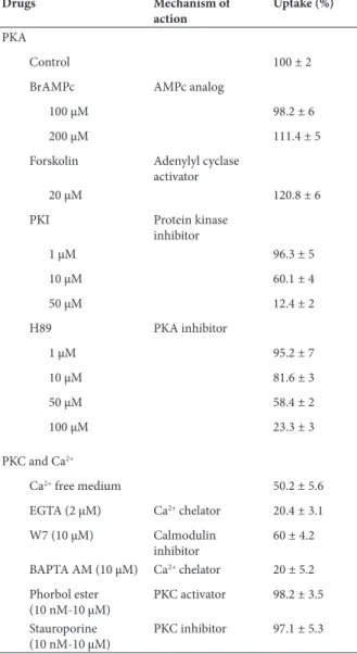 Table 3. Effects of PKA, PKC, and Ca 2+  pathways on [ 3 H]
