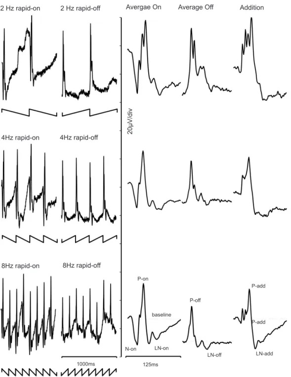 Figure 2. Full-ield ERGs elicited using sawtooth stimuli at 2 Hz (top), 4 Hz (middle) and 8 Hz (bottom)