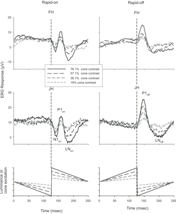 Figure 1: ERG Responses measured in two subjects to rapid-on (left plots) and rapid-off (right plots) sawtooth stimuli