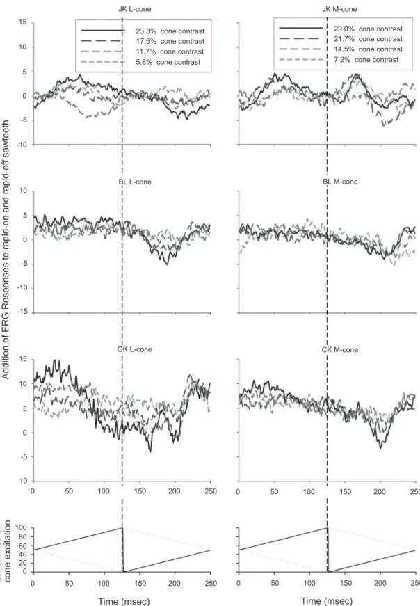 Figure 4b: Results of addition of the responses to rapid-on and rapid-off sawtooth stimuli for L- and M-cone isolating stimuli  for the two subjects whose data are shown in Fig