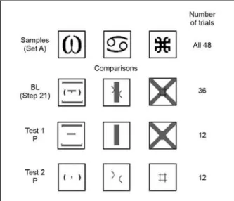 Figure 2. Sample (Set A) and comparisons presented in baseline (BL)  and probe trials (P) of Tests 1 and 2 to evaluate stimulus control by the  components of the comparisons from Step 21