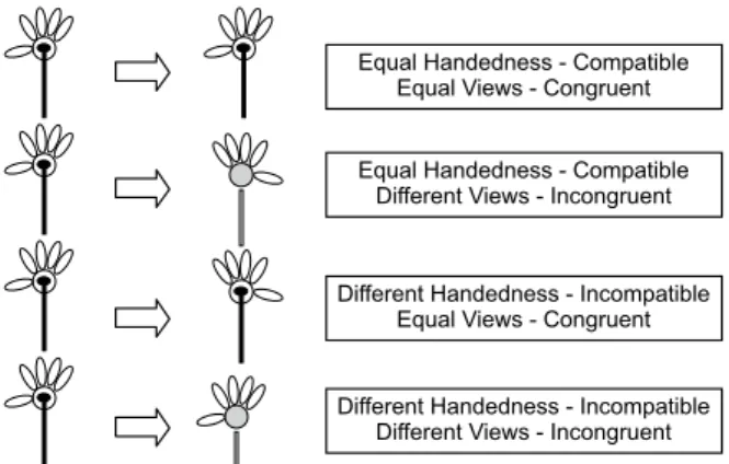 Figure 1. Stimuli used as primes and targets. Two types of instruc - -tions (“They represent a hand” or “They represent a lower”) were  given to classify the igures according to their laterality (right or left)  and view (palmar/dorsal for the hand and fro