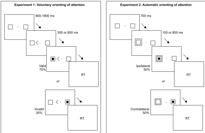 Figure 1. Temporal sequence of stimuli presentation in Experiments 1 and 2.