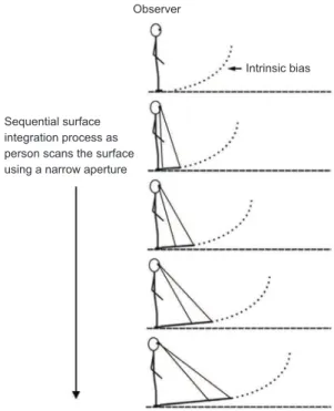 Figure 7. Side view depiction of the slope of the perceived ground surface when making egocentric and exocentric judgments  according to the theory of Ooi and He