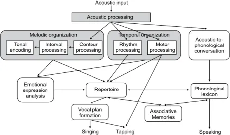 Figure 1. Cognitive–neuropsychological model of music processing, sketching the components and processes involved in music recognition  (adapted with permission from Macmillan Publishers Ltd: [Nature Neuroscience] (Peretz, I