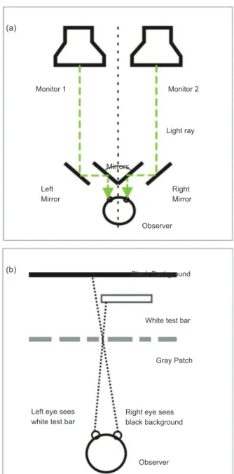 Figure 1. Scheme of the dynamics of stimulus presentation. 