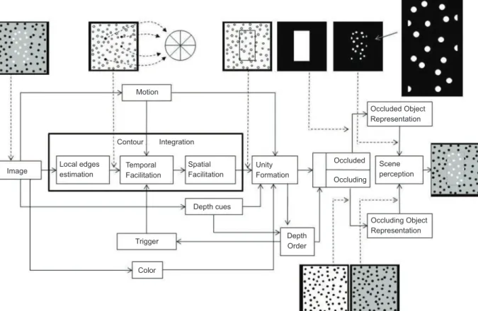 Figure  9  shows  a  scheme  of  the  model  including  intermediate  representations  of  the  processed  images,  in  which  the  case  of  an  occluded  object  situation  is  illustrated